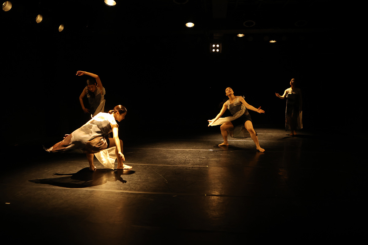 1200px_246C1690_crop.jpg