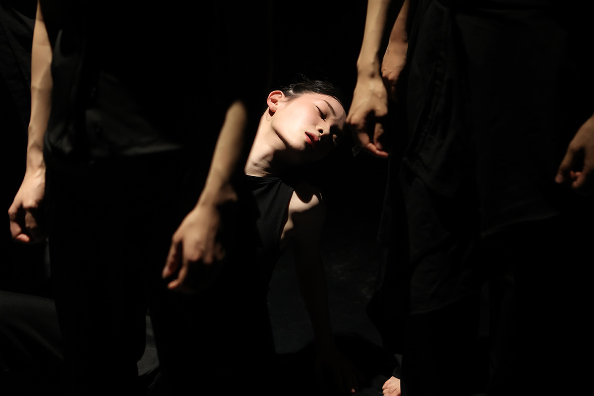 1200px_245A1130_crop.jpg
