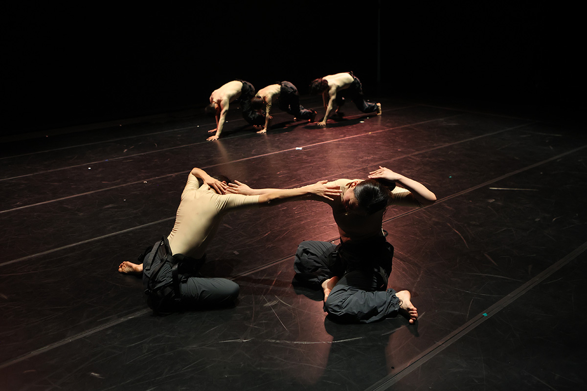 1200px_246A3179_crop.jpg